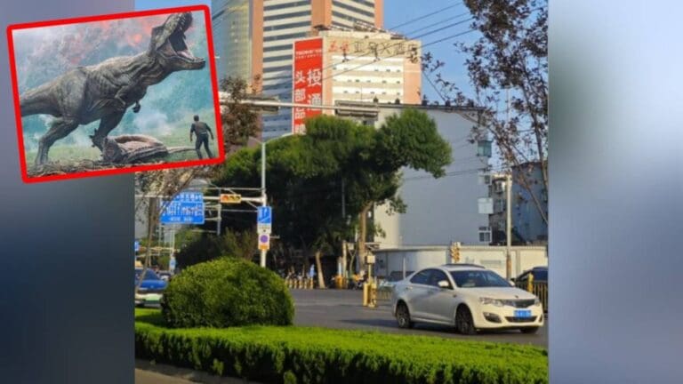 濟南街頭暴龍樹爆紅！一日限定打卡位，隨時消失？