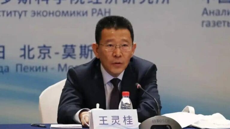 王靈桂卸任港澳辦副主任，新職位揭曉！