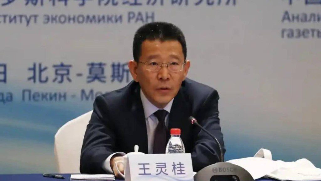 王靈桂卸任港澳辦副主任，新職位揭曉！