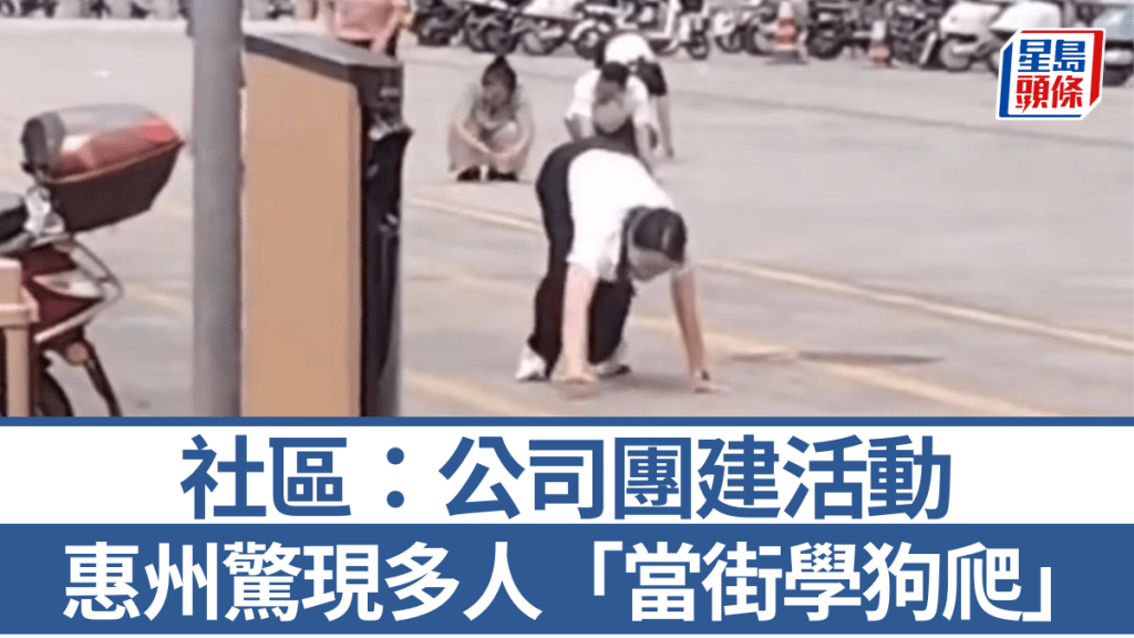 內地公司團建玩出火？惠州員工街頭爬行學狗叫，引發全城熱議