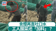 噁！遼寧酸菜工場驚現「加料」製作：工人食煙亂吐口水