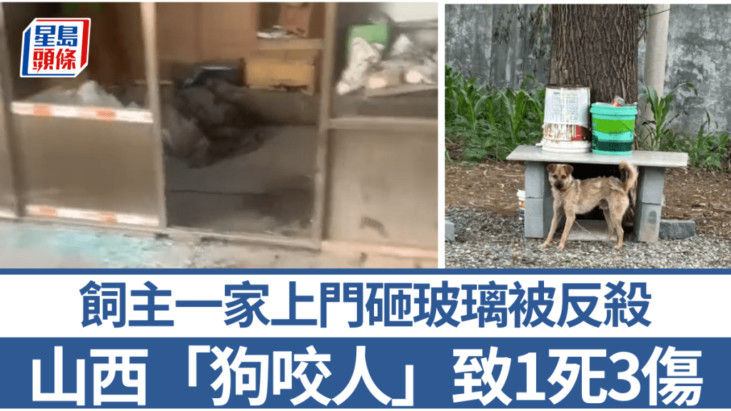 山西鄰里糾紛：狗咬人引發1死3傷慘案，庭審現場女兒堅稱屬正當防衛！