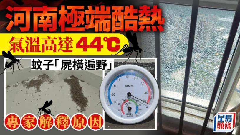 極端天氣|河南最高 44.4℃「蚊都熱死」專家咁解釋