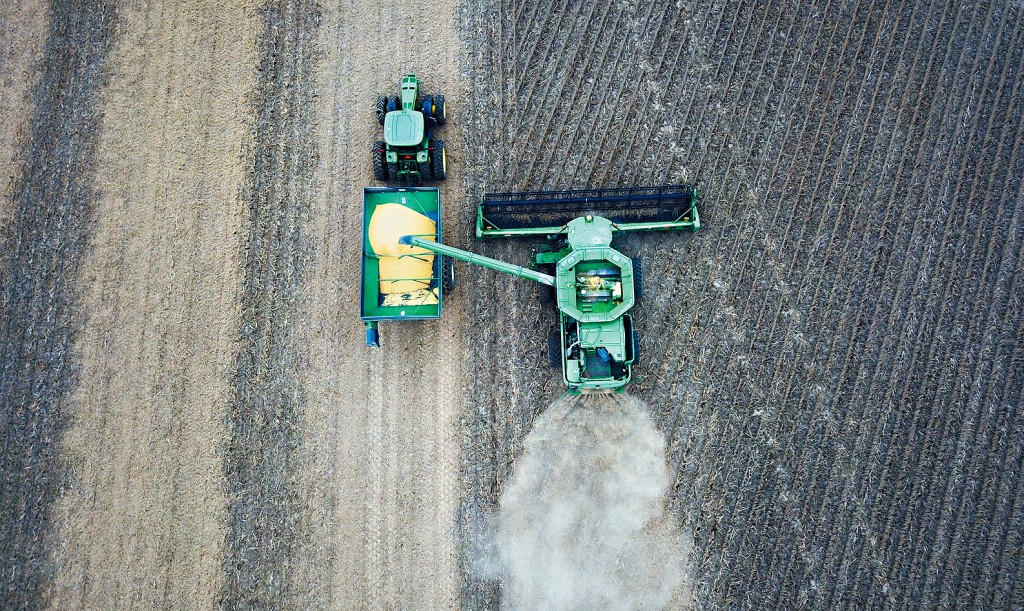 中美關係現曙光？中國恢復進口美國大豆！