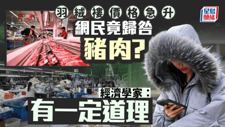 羽絨褸價格狂飆：豬肉價下跌竟成幕後黑手？