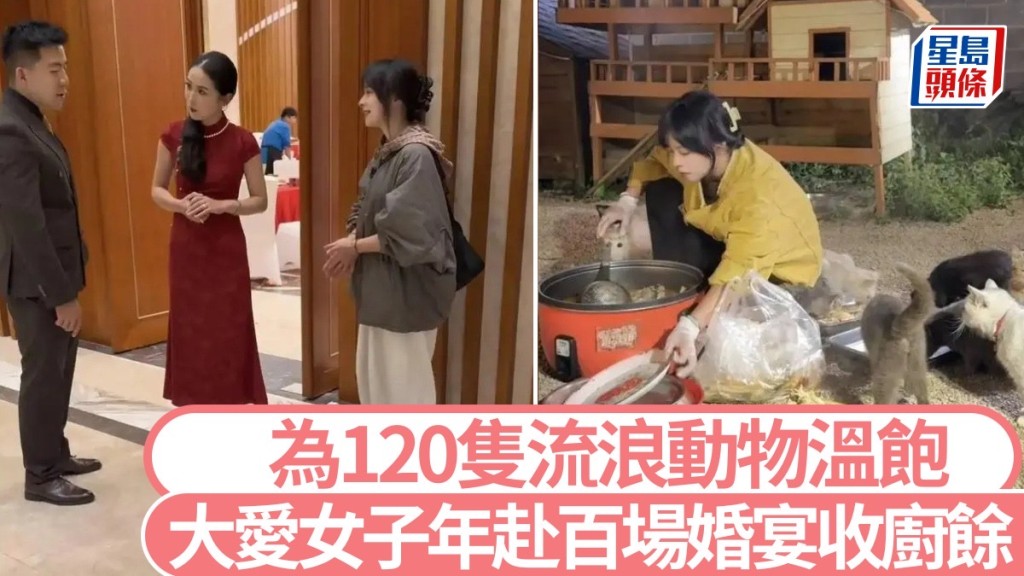 愛心爆棚!雲南女子妙用婚宴剩菜,餵飽120隻流浪動物