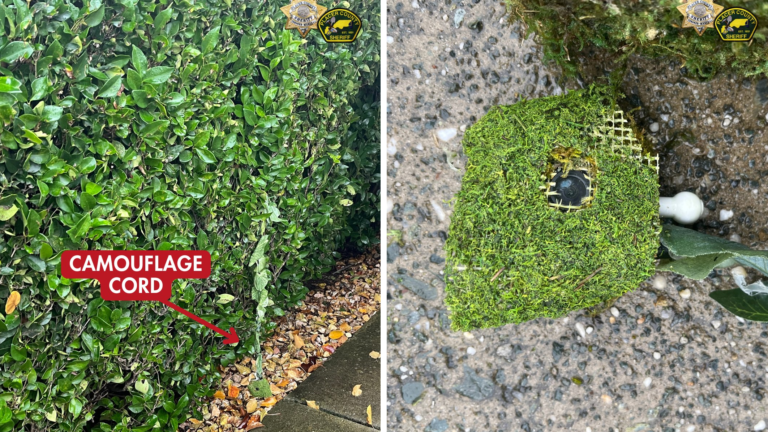 住宅外草叢發現被藏攝影機 疑用作踩線入屋爆竊｜細說燊語