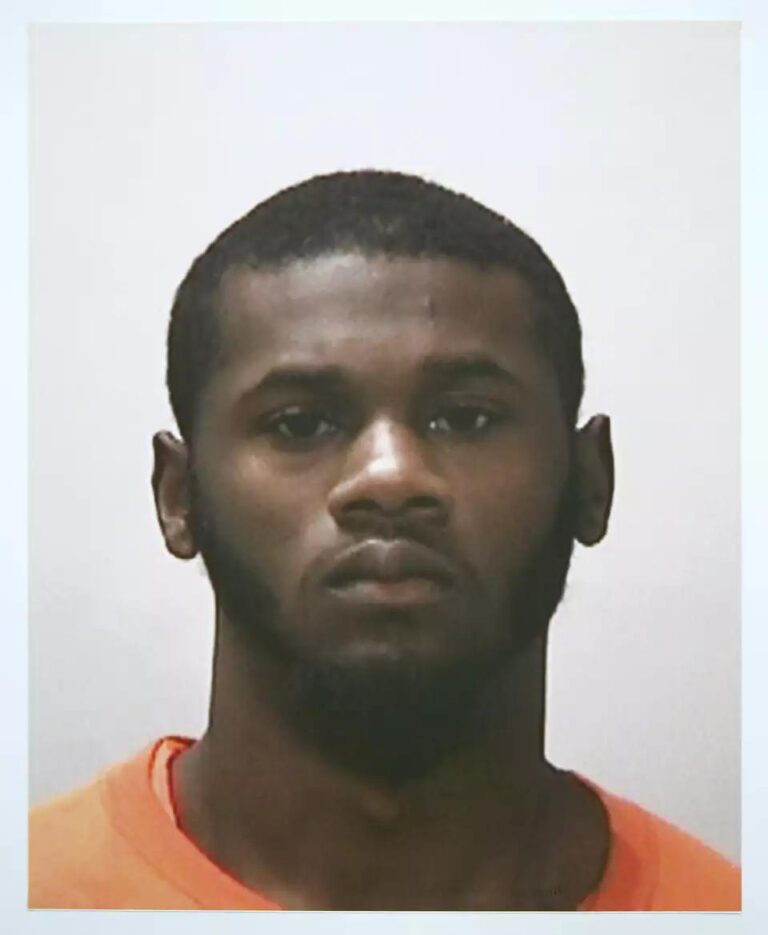 蓋斯容。資料圖片