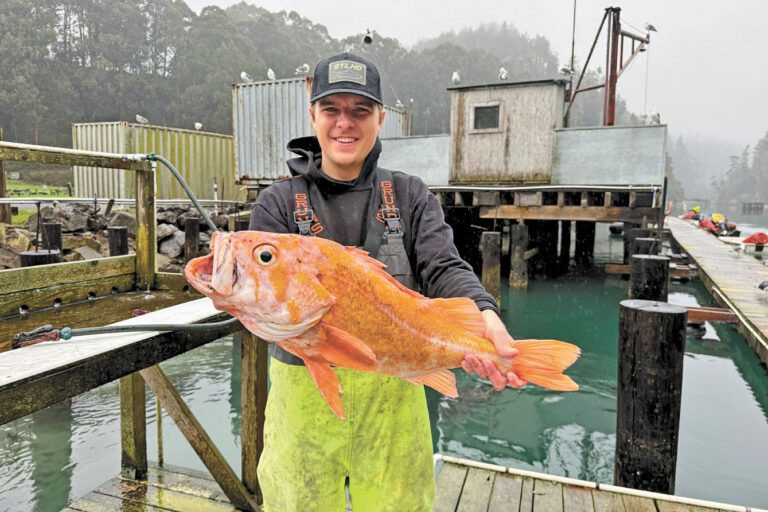 沃爾什手持重10.25磅的翼平鮋。Deirdre Lamb/美聯社
