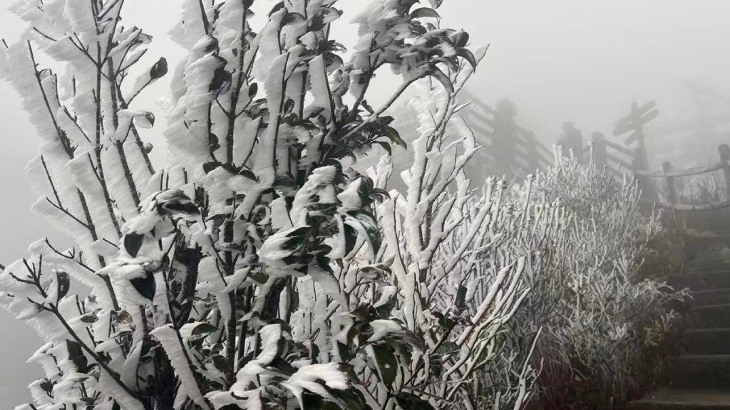 聖誕北上注意！廣東氣溫急降，粵北現冰掛，深圳周五低見10℃