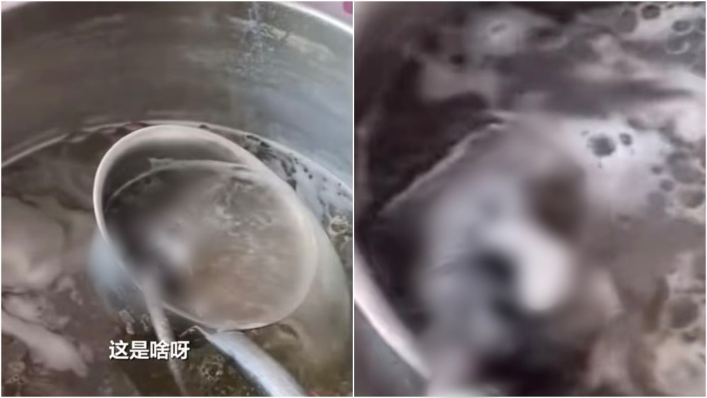 聖誕早餐變驚嚇！廣西食客加湯撈出死老鼠 涉事店舖即時停業