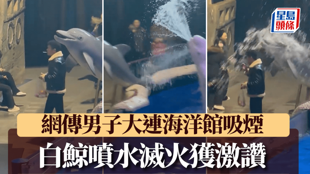 白鯨勇滅煙火，網民熱讚正義小衛士