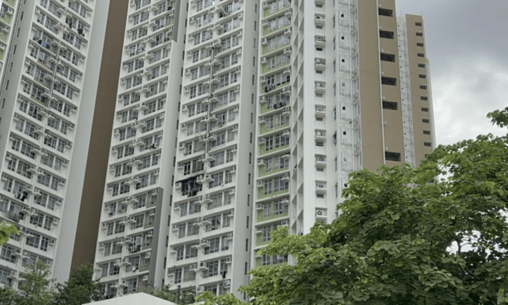 上水寶石湖邨15歲少女墮樓亡 生前有情緒病紀錄