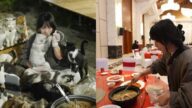 社恐女孩為126隻毛孩勇敢出擊！一年跑百場婚宴「討剩餸」背後，是與流浪貓的雙向治癒