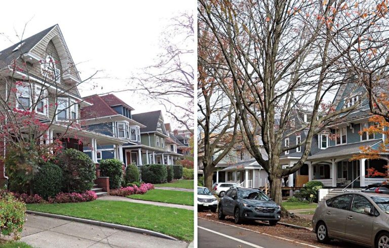 LPC指定布碌崙兩個街區為「歷史街區」。圖片來自LPC