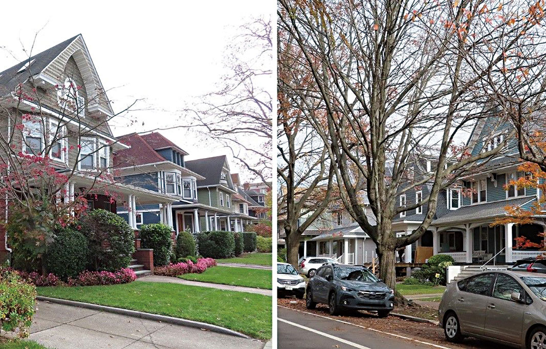 LPC指定布碌崙兩個街區為「歷史街區」。圖片來自LPC