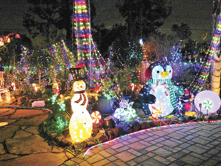 Debora將後院裝置成童話世界。Debora提供