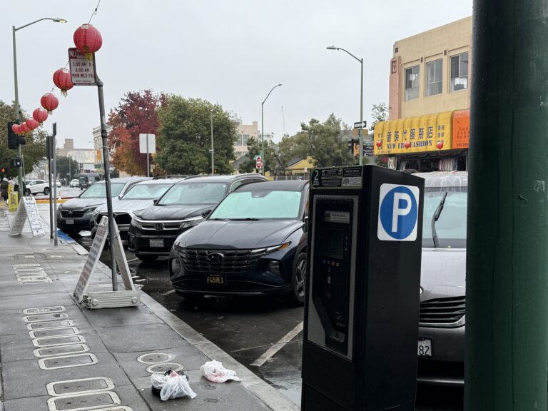 屋崙華埠街道停泊的車輛與路邊停車咪錶。市府宣布取消周日免費停車後，商戶憂慮客流與消費意願受影響。記者陳程威攝