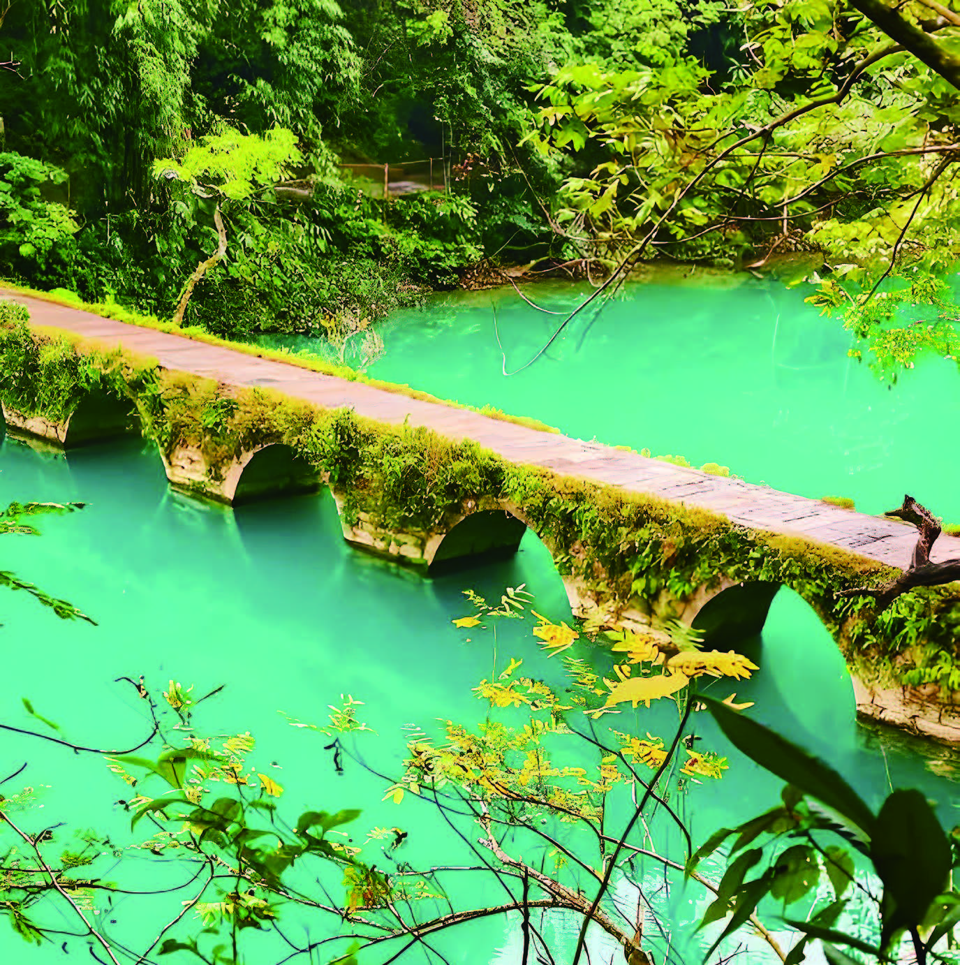 ¥@¬É¿ò²£¤p¤C¤Õ´º°Ï