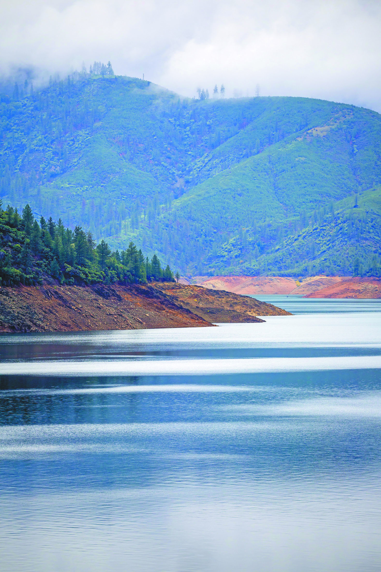 連日冬雨導致沙斯塔水庫蓄水量充沛。加州水資源局