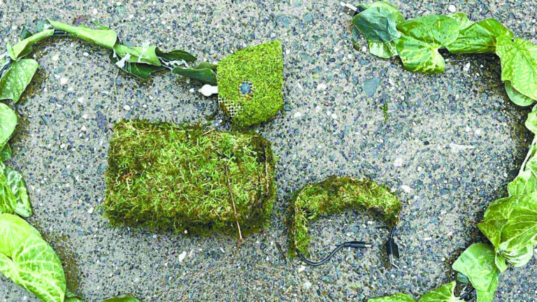 偽裝成綠植的隱藏式攝影鏡頭。普萊塞縣縣警局