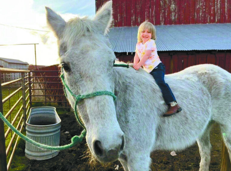 農民漢森的家馬被野狼攻擊後不得不人道毀滅。Wyatt Hanson