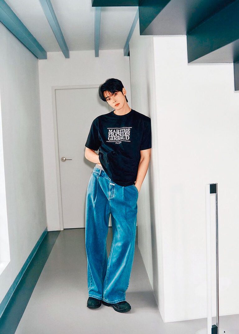 車銀優日前被爆涉逃稅200億韓圜。