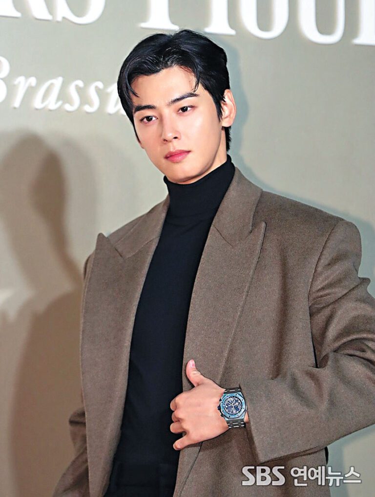 車銀優被爆透過母親公司涉逃稅200億韓圜。