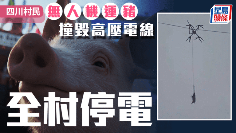 【離奇意外】四川村民用無人機運豬「黑飛」 連豬帶機撞毀電線全村停電10小時