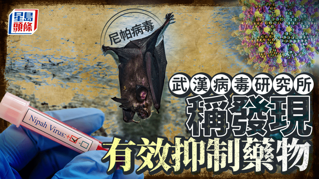 【抗疫突破】武漢病毒研究所宣布：發現可有效抑制尼帕病毒的口服藥物