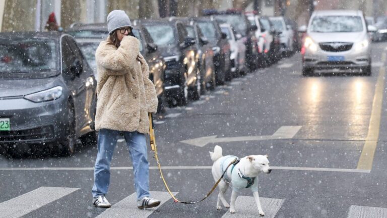 寒潮橫掃中國！上海罕見降雪洗版社媒，14省會創今冬新低