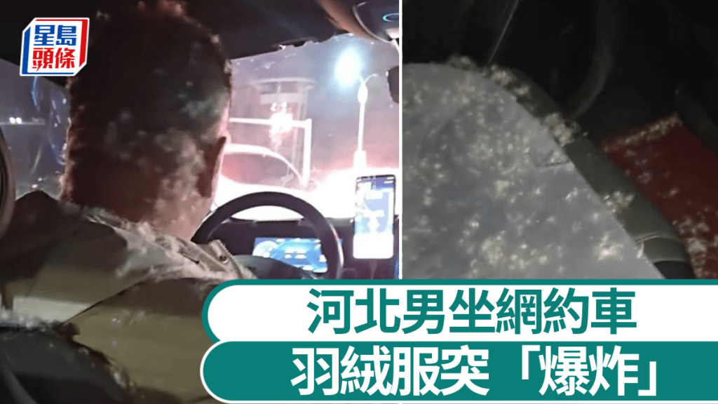 【尷尬爆笑】河北男網約車內羽絨服突「爆炸」 司機慘變「天鵝」滿身絨毛