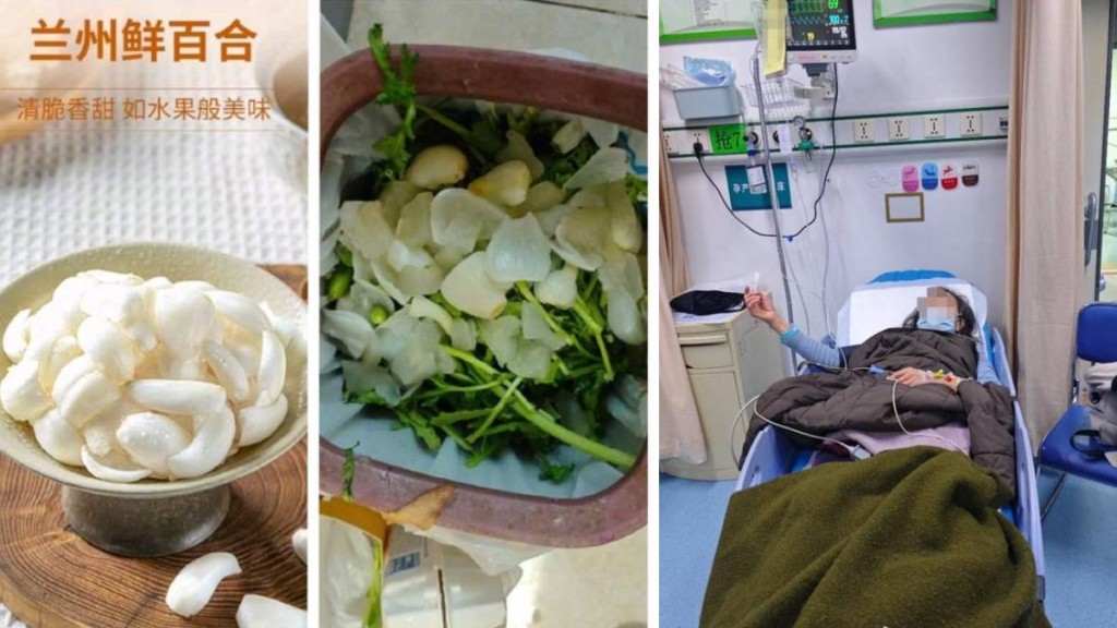 盒馬鮮生送錯貨！誤送水仙球當百合，兩婆孫煲湯中毒險死，索償金額曝光