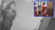 【上海奇案】侍應偷龍轉鳳換走3瓶飛天茅台 物主憑「神之手」一摸揭發!