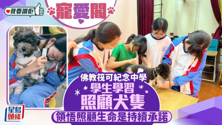 校園有愛！佛教筏可中學設「寵愛閣」 學生照顧犬隻學懂責任與承諾