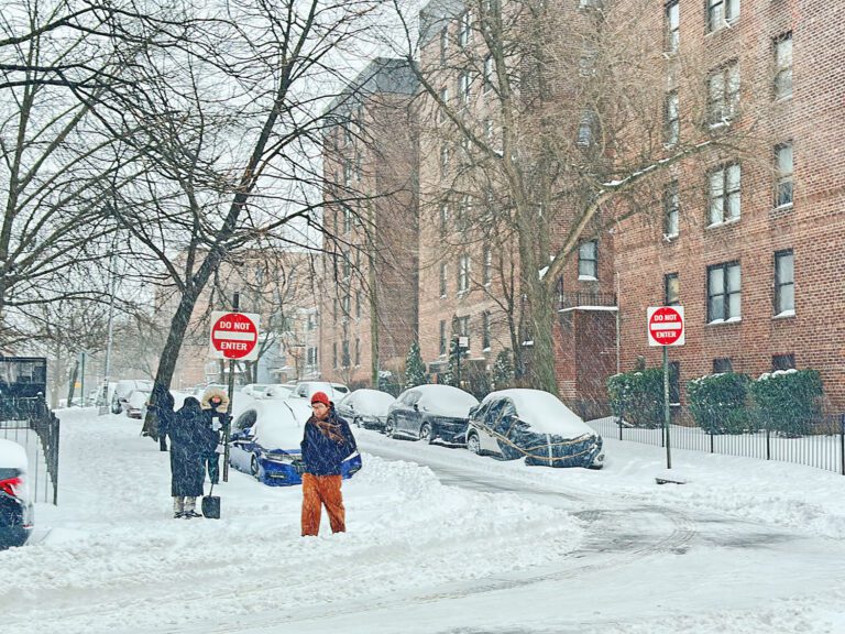 暴雪之下的皇后區街道。