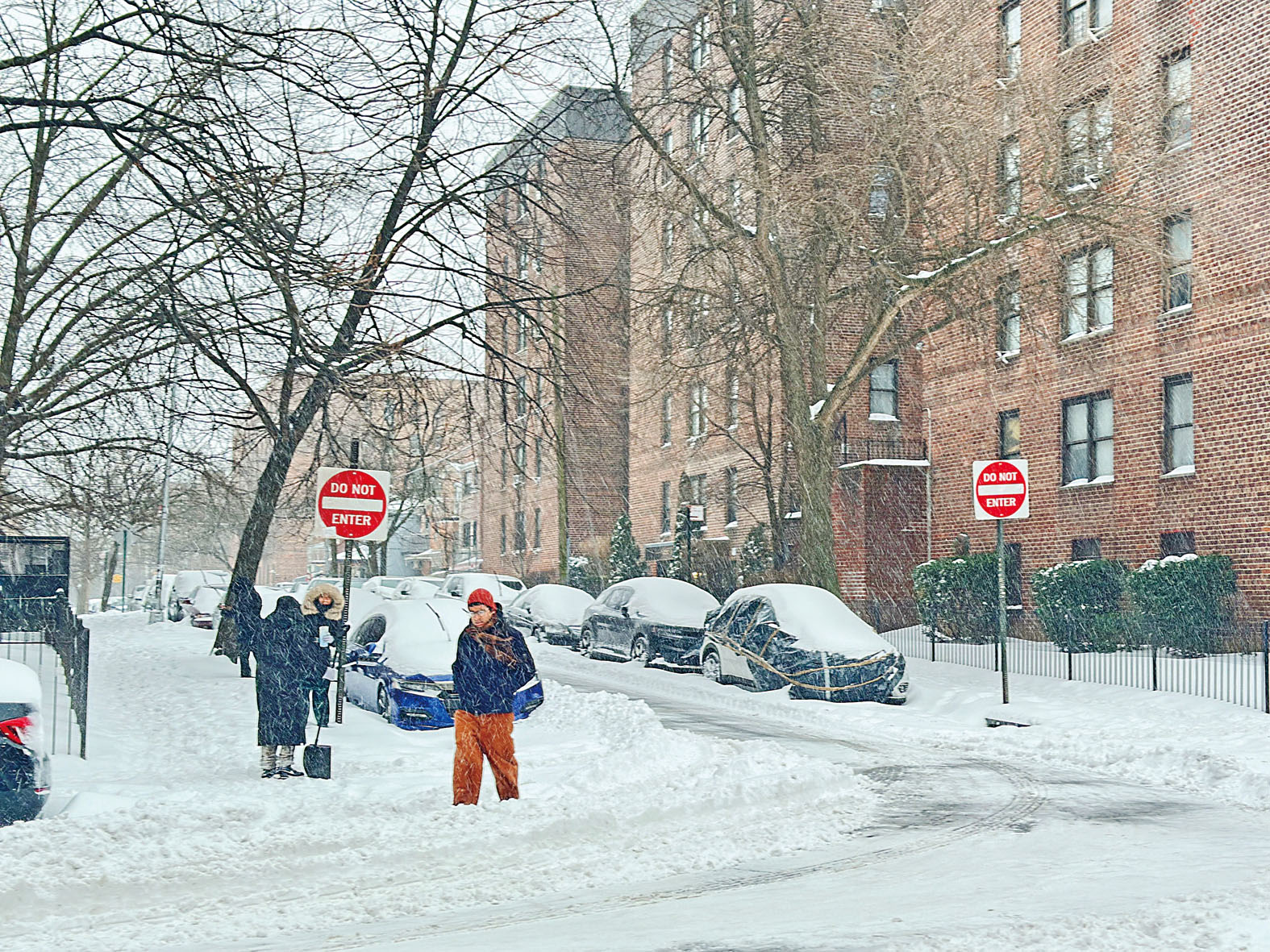 暴雪之下的皇后區街道。