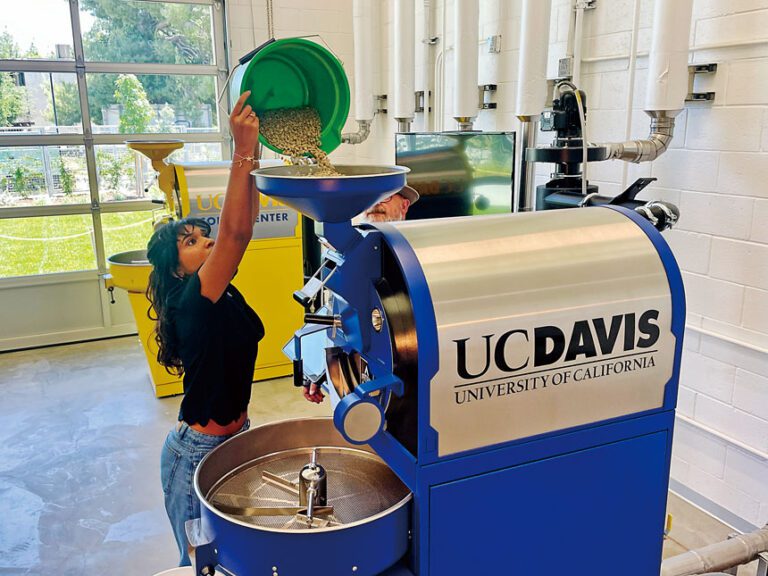 越來越多加大本科生只花三年就畢業。美聯社資料圖片