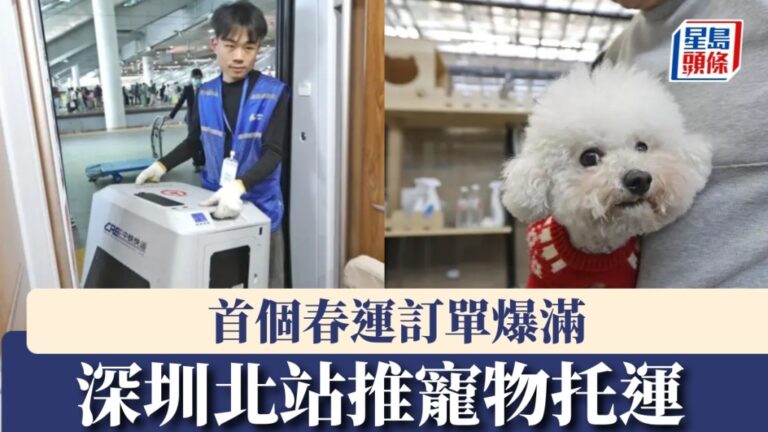 【網紅涉欺詐】「劉馬車」訛稱通利琴行代言人 涉網上虛假折扣宣傳 被控兩罪准保釋