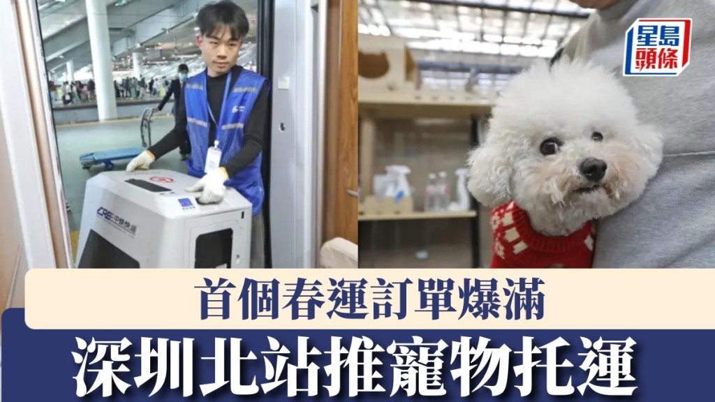 【網紅涉欺詐】「劉馬車」訛稱通利琴行代言人 涉網上虛假折扣宣傳 被控兩罪准保釋