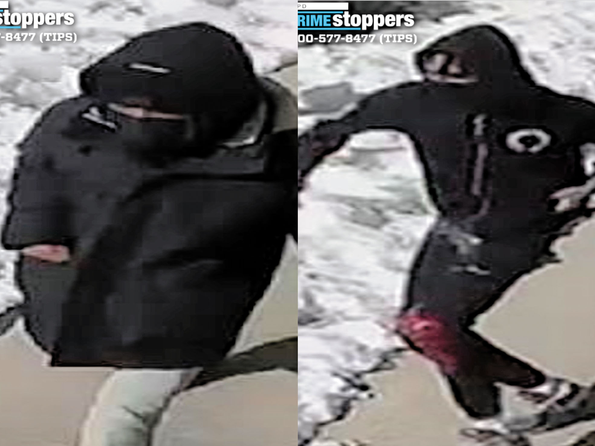 圖為涉案團夥。 NYPD