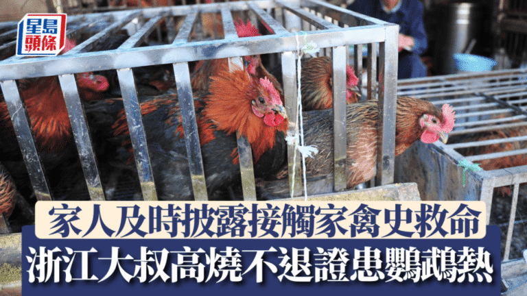 【鸚鵡熱警號】浙江大叔高燒不退險喪命！家人一句話揭關鍵接觸史，醫生：雞鴨鴿子都可能傳播
