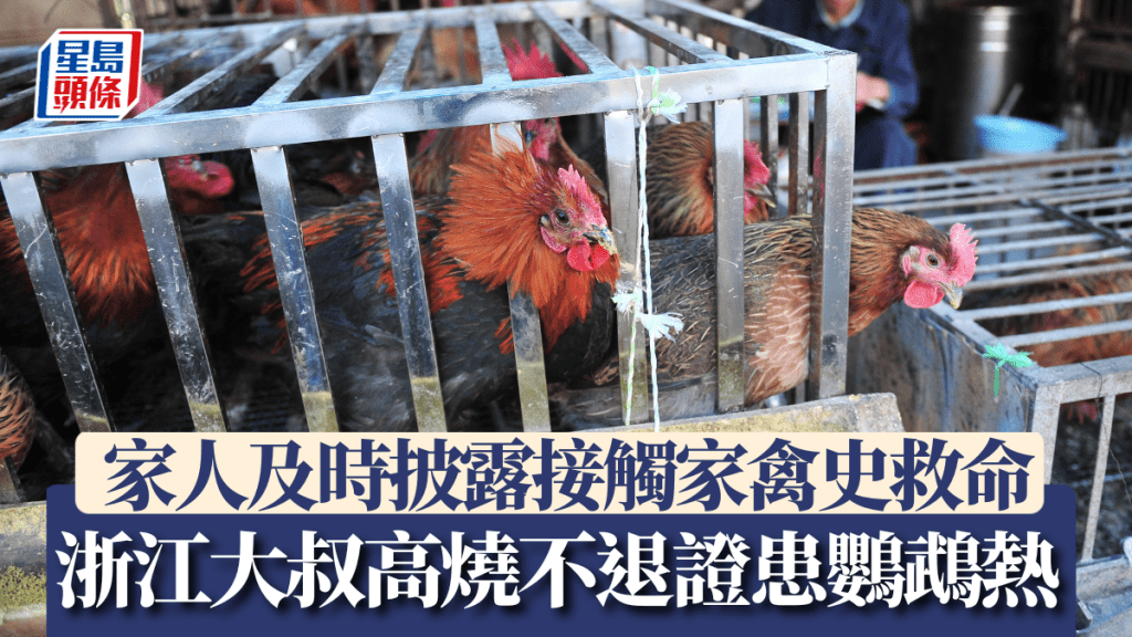 【鸚鵡熱警號】浙江大叔高燒不退險喪命！家人一句話揭關鍵接觸史，醫生：雞鴨鴿子都可能傳播