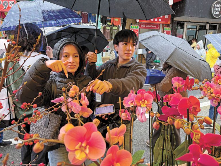 民眾挑選心儀年花過節。記者黃偉江攝