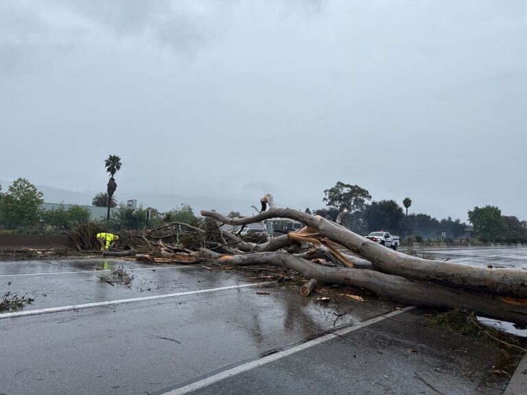 加州遭冬季風暴猛烈吹襲：洛杉磯發山洪警告，三藩市灣區罕見飄雪