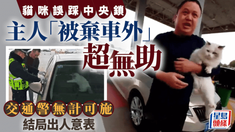 【趣聞】貓主子誤鎖車門 主人被困車外超無助 結局竟係咁……