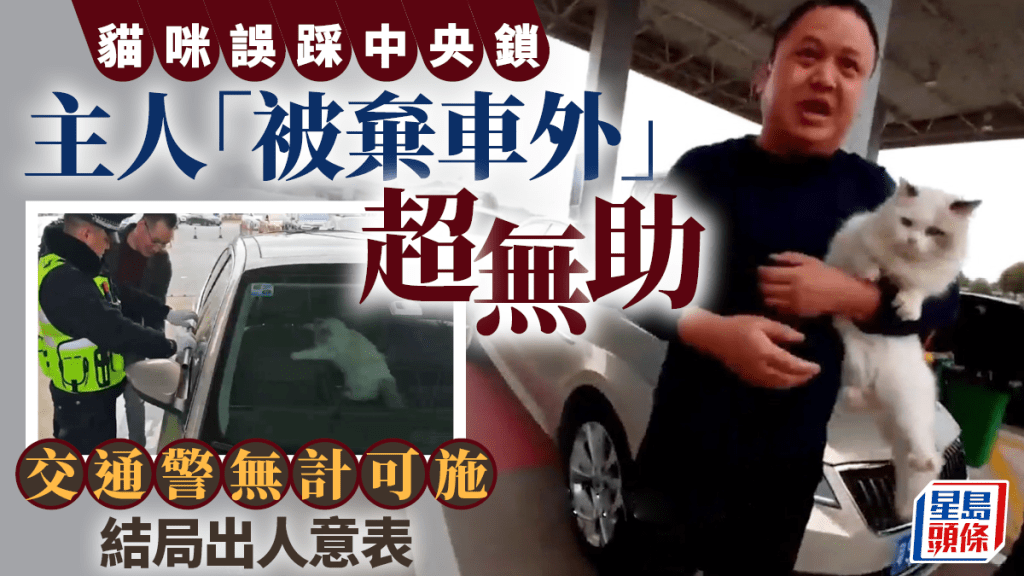 【趣聞】貓主子誤鎖車門 主人被困車外超無助 結局竟係咁……