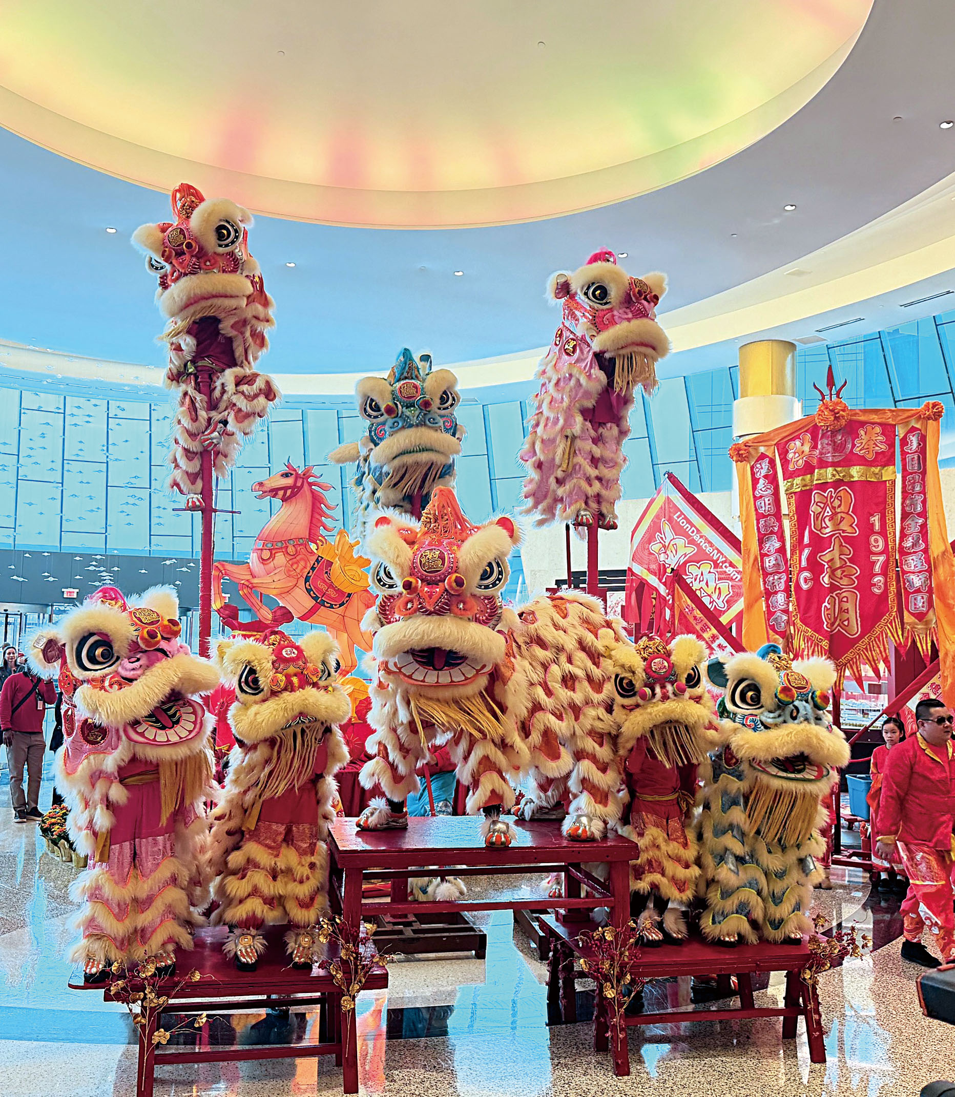 八頭瑞獅紐約市雲頂表演。