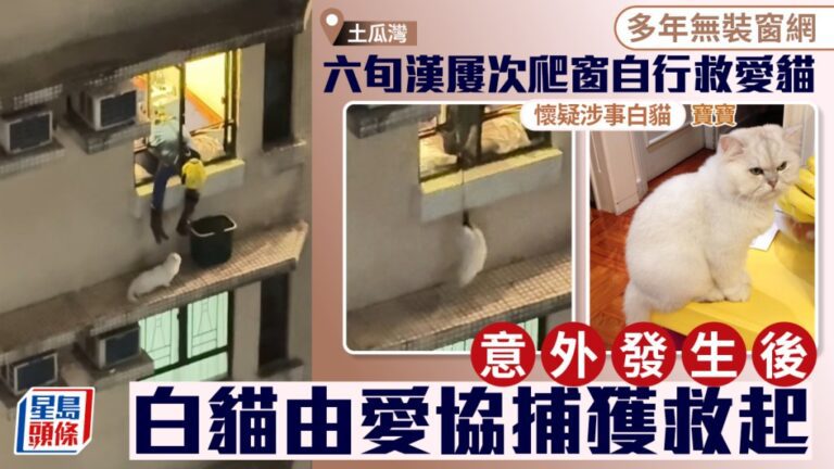 【土瓜灣墮樓慘劇】愛貓跳窗 六旬貓主爬出營救失足亡 驚險救貓片段曝光