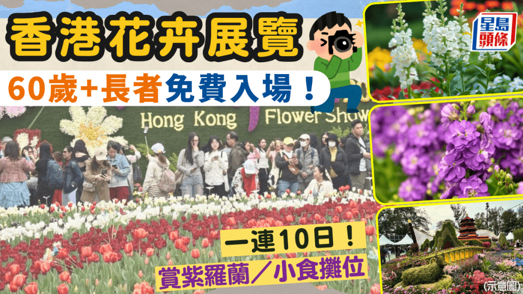 【2026香港花展】維園紫羅蘭盛放！60歲長者平日免費入場 一連10日賞花兼掃街